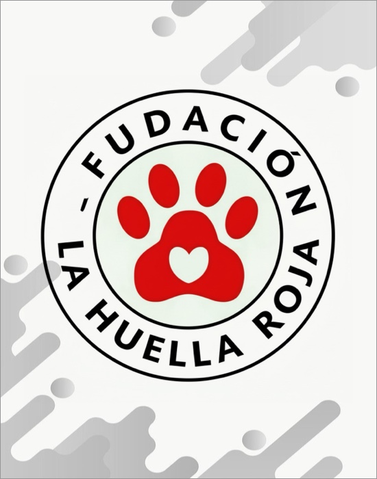 cover_agenda-p20-04