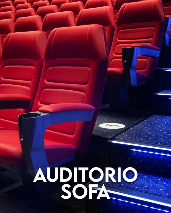 element-programacion-aud